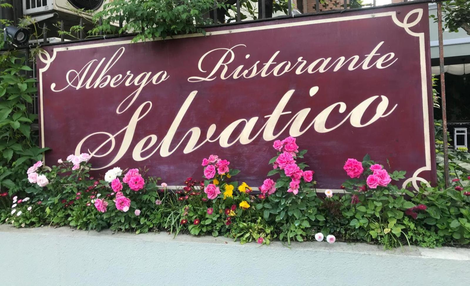 Albergo & Ristorante Selvatico Rivanazzano Terme Exteriör bild
